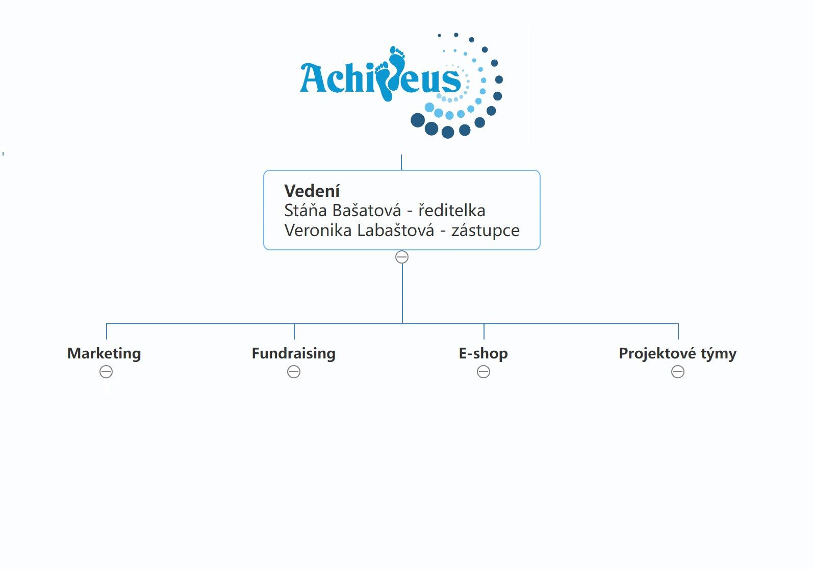 organizační struktura - obecná na web organizační struktura - obecná na web
